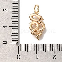 Messing Anhänger & Charms&nbsp;X-KK-U038-18G