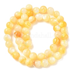 Naturali giallo perline shell fili&nbsp;SH-CBACA76-16B