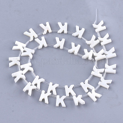 Perles de coquille d'eau douce&nbsp;X-SHEL-T012-59K