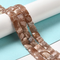Natürliche sunstone Perlen Stränge&nbsp;G-C109-A09-02