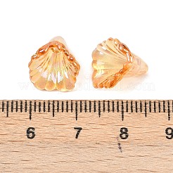 Trasparenti protezioni del branello acrilico&nbsp;OACR-G054-03F