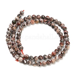 Chapelets de perles de jaspe en peau de léopard naturel&nbsp;GG-CBA3921-A02-4mm