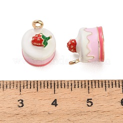 Charms del esmalte de la aleación&nbsp;AL-CBAC5EF-02G-02