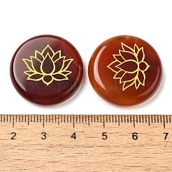 Cabochons d'agate rouge naturelle (teinte et chauffée)&nbsp;G-C158-04F
