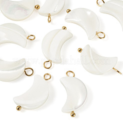 10 colgante de luna de concha natural&nbsp;STAS-TA0006-29