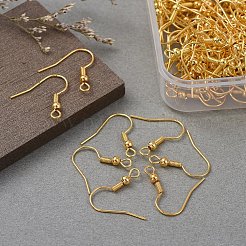 Crochets de boucles d'oreilles en fer&nbsp;IFIN-YW0001-07G