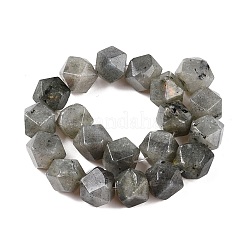 Perline labradorite naturale fili&nbsp;G-T138-37