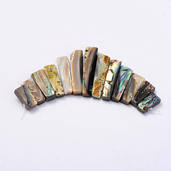 Rechteck natürliche Abalone Shell / Paua Shellgraduated Perlen Stränge&nbsp;SSHEL-P002-05
