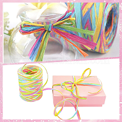 Cordons en papier raphia teints en segments pour loisirs créatifs&nbsp;OCOR-WH20020-27G