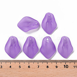 Pendentifs acryliques mats transparents&nbsp;MACR-S371-03A-747