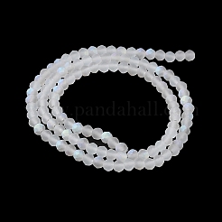 Chapelets de perles en verre transparente  &nbsp;EGLA-A044-T2mm-MB19