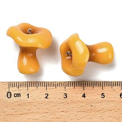 3d undurchsichtige Harzanhänger&nbsp;RESI-G111-02