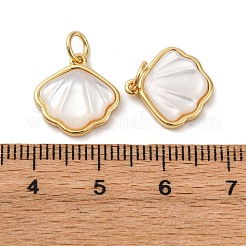 Messing-Pflaster-Anhänger mit Muscheln in Naturweiß&nbsp;KK-P308-05G-02