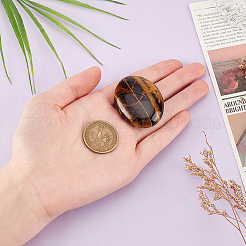 2 pierre de palmier en œil de tigre naturel&nbsp;AJEW-GA0007-90A