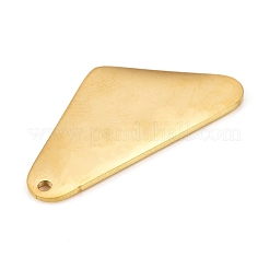 Pendentifs en acier inoxydable 304&nbsp;STAS-L238-112B-G