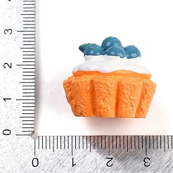 Mini modèle en résine&nbsp;DJEW-G046-01F