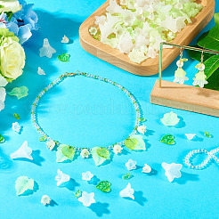 Kits de fabrication de bijoux diy&nbsp;DIY-TA0014-75
