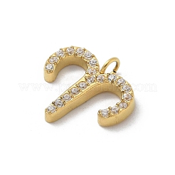 Breloques en acier inoxydable 304 avec placage ionique (IP) et micro-pavé de zircones cubiques&nbsp;STAS-Z107-09G-02