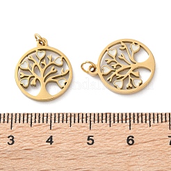 Pendentifs en émail et acier inoxydable 304 avec placage ionique (IP)&nbsp;STAS-Q333-21G