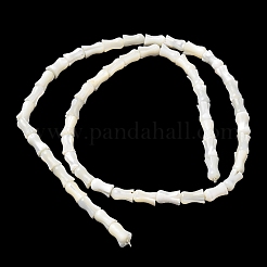 Fili di perle di conchiglia trochid naturale / trochus&nbsp;SHEL-XCP0001-11