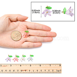 50pcs pendentifs acryliques transparents&nbsp;PALLOY-FS00038-04