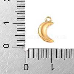Ciondoli in acciaio inossidabile 304&nbsp;STAS-Q351-06G