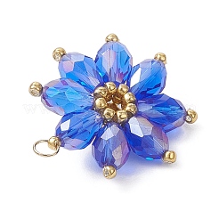 Pendentifs en verre&nbsp;PALLOY-MZ01143-01