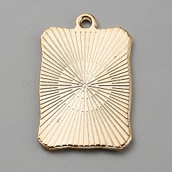 Emaille Anhänger Legierung&nbsp;ENAM-WH0064-24J