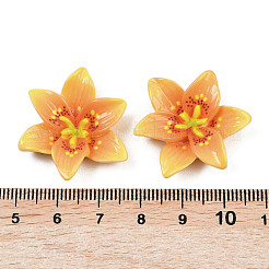 Undurchsichtige Decoden-Cabochons aus Harz&nbsp;CRES-D328-03