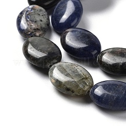 Perline sodalite naturale fili&nbsp;G-L164-A-20