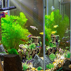 9 Stück 9 Arten künstliche Aquarienpflanzen aus Kunststoff&nbsp;DJEW-DR0001-10