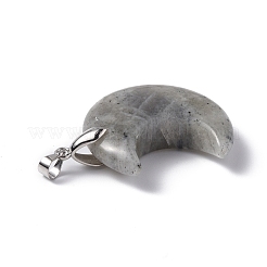 Natur Labradorit Anhänger&nbsp;G-Z022-04L