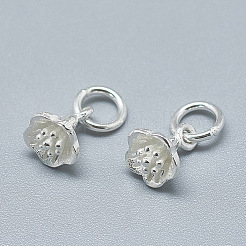 925 Sterling Silber Charme&nbsp;STER-T002-49S