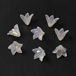 Transparentes bouchons acrylique de perles&nbsp;LS-X-OACR-H016-03