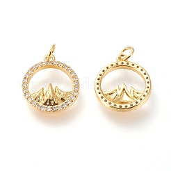 Latón micro pavimenta claro cubic zirconia encantos&nbsp;ZIRC-L098-025G