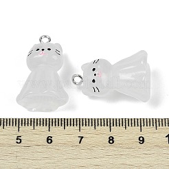 Pendentifs en résine lumineux&nbsp;RESI-R460-01A