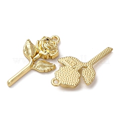 Aluminium Anhänger & Charms&nbsp;LS-FIND-Z095-12G