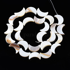 Naturali di acqua dolce perline shell fili&nbsp;SHEL-Q024-015A