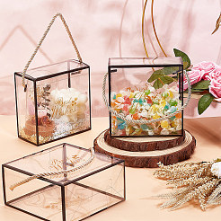 Transparente Geschenkboxen für Haustierbonbons&nbsp;CON-WH0084-73B