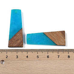 Colgantes de resina & madera&nbsp;WOOD-F015-04G