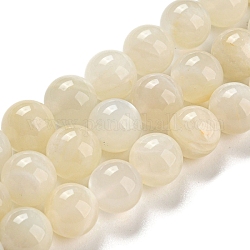 Bianco naturale perline pietra di luna fili, grado ab, tondo, bianco, 10mm, Foro: 1 mm, su 40 pz / strand.
