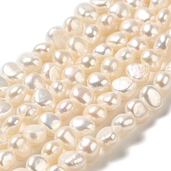 Fili di perle di perle d'acqua dolce coltivate naturali, due lati lucido, grado 5 un, papayawhip, 5x5~6x3.5~4mm, Foro: 0.6 mm, circa 69~70pcs/filo, 13.58 pollice (34.5 cm)