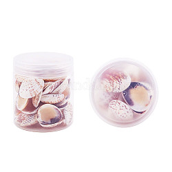 1 boîte de coquillages naturels coquillages coquillages coquille de palourde colorée perles avec des trous pour la fabrication artisanale 40-50pcs