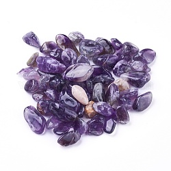 Natürlichen Amethyst Perlen, ungebohrt / kein Loch, Pommes frites, 6~17x4~9x2~6 mm, ca. 100 g / Beutel
