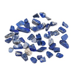 Perles en lapis-lazuli naturel, pas de trous / non percés, puce, 8.5~23.5x7~8x2~7mm, environ 704 pcs/500 g