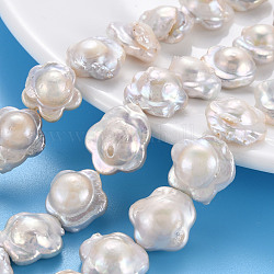 Naturali keshi perline perle fili, perla d'acqua dolce coltivata, fiore, colore conchiglia, 14~19x15~17x7~8mm, Foro: 0.6 mm, circa 24~25pcs/filo, 14.96~15.35 pollice (38~39 cm)