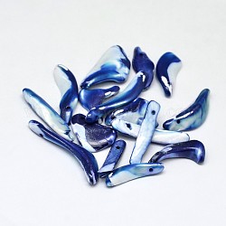 Perline in bastoncino di pepita di conchiglia naturale tinta, blu, 22~33x10~15mm, Foro: 1.5 mm, circa 30pcs/50g