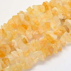 Chapelets de perles de citrine naturelle, pépites, 13~23x10~21x3~18mm, Trou: 2mm, environ 15.7 pouce (40 cm)