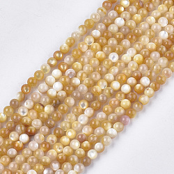 Perles de coquillage jaune brins, ronde, or, 4mm, Trou: 0.7mm, Environ 94 pcs/chapelet, 15.3 pouce