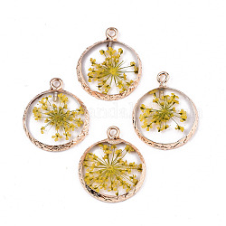 Transparent Clear Epoxy Resin & Dried Flower Pendants, with Edge Light Gold Plated Iron Loops, Flat Round, Yellow, 24x20x2.5mm, Hole: 1.8mm